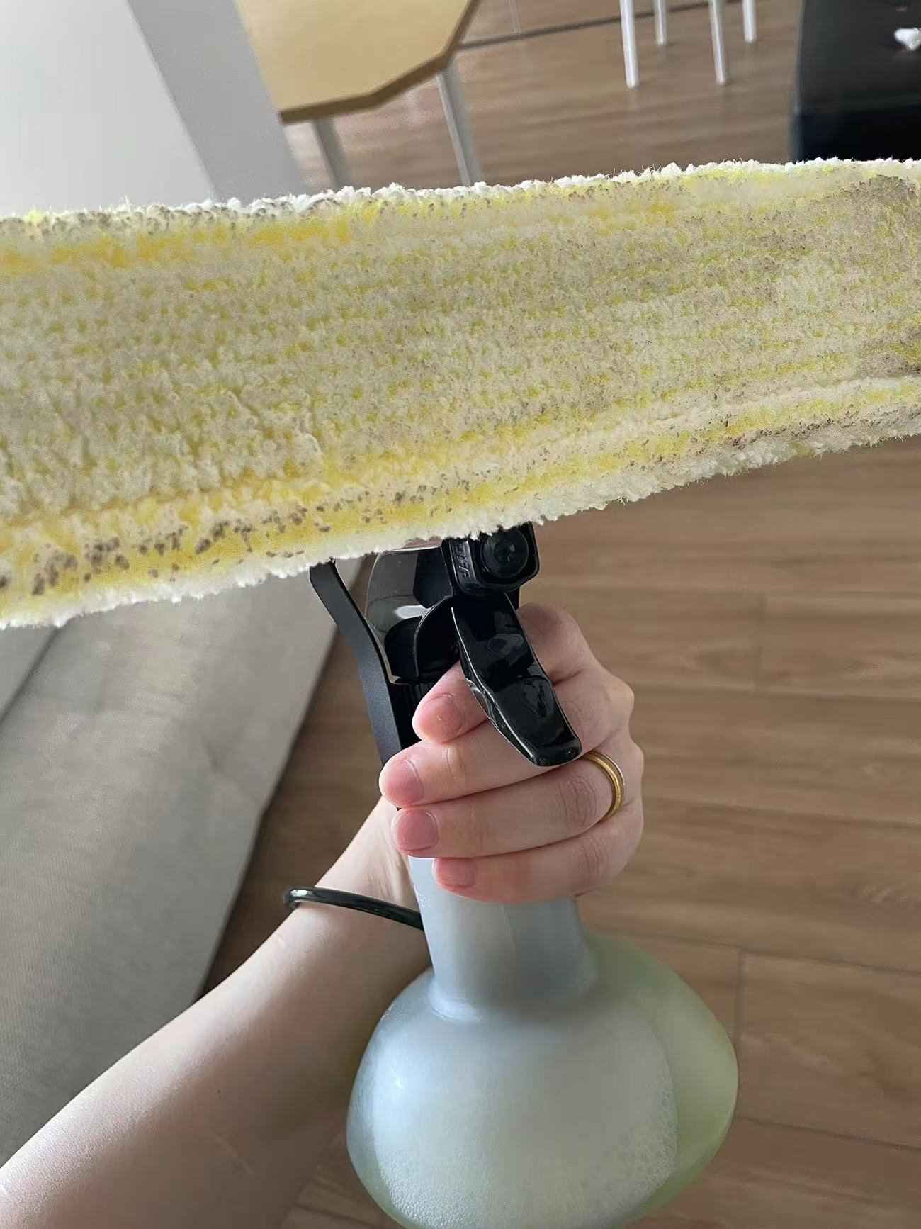 ollig·KARCHER家用擦窗機玻璃刮鏡面瓷磚清潔機WV1 plus原裝進口 - 图片 17